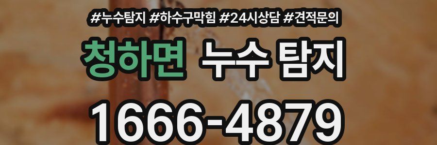 청하면 누수 탐지