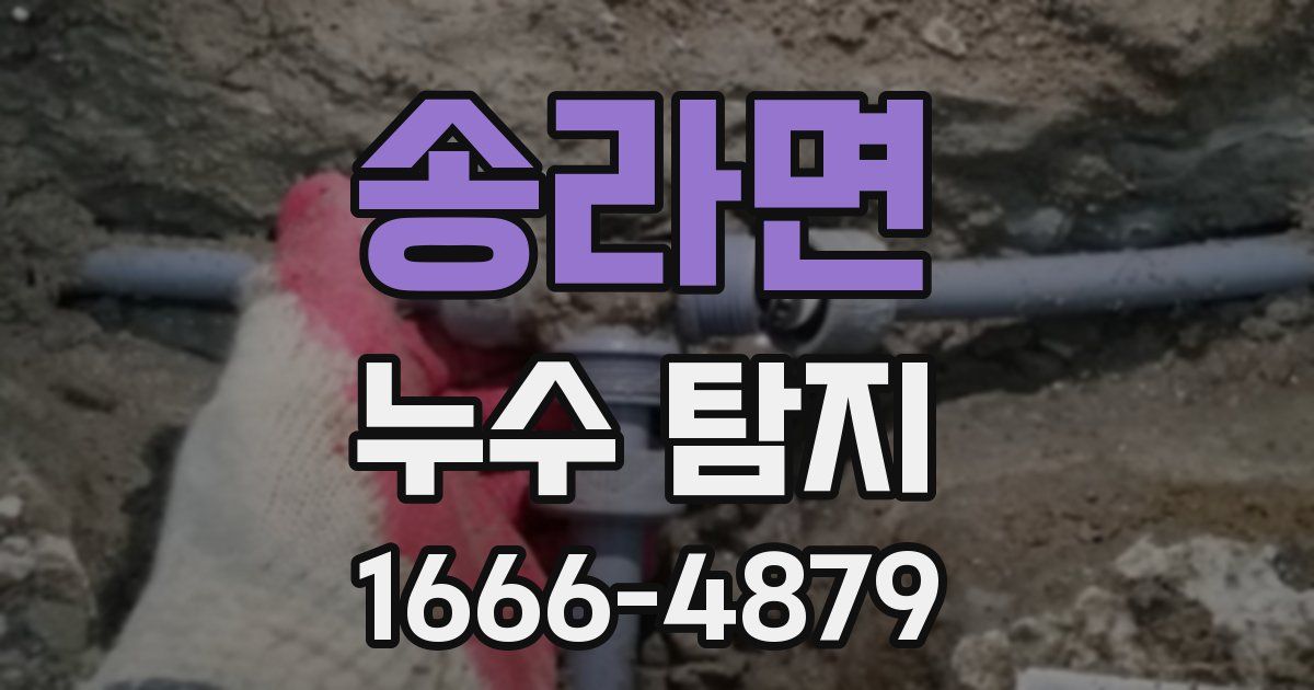 송라면 누수 탐지