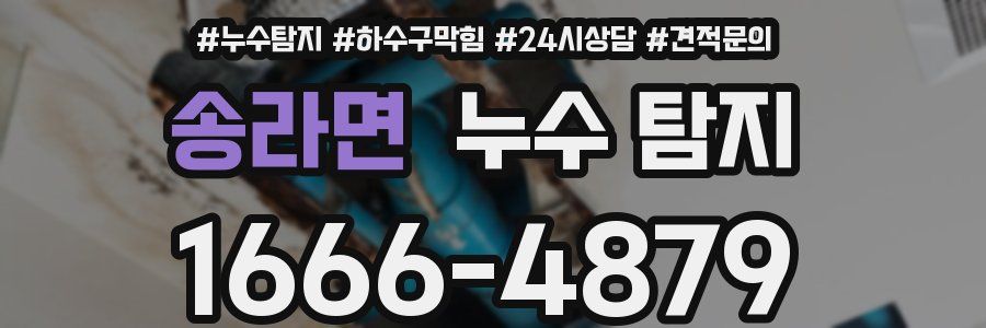 송라면 누수 탐지