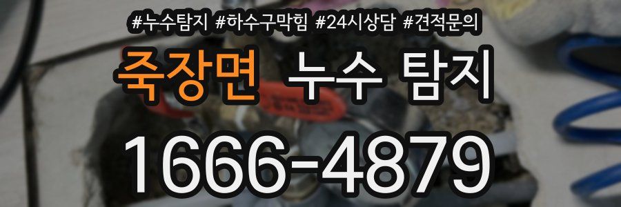 죽장면 누수 탐지