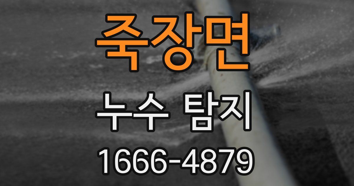 죽장면 누수 탐지