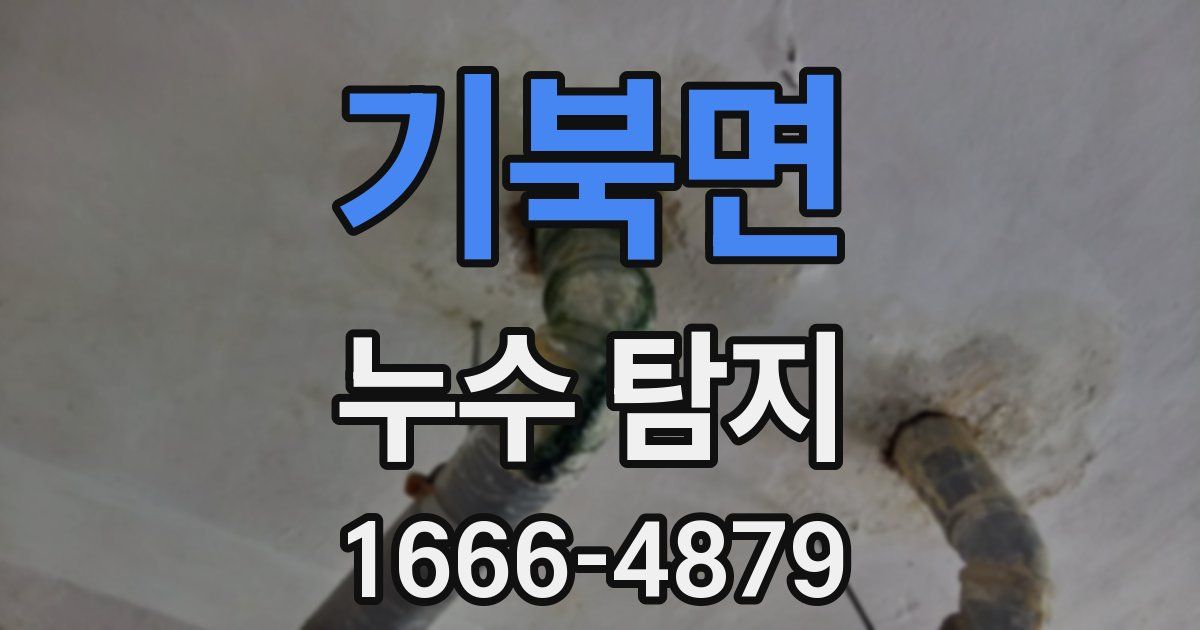 기북면 누수 탐지