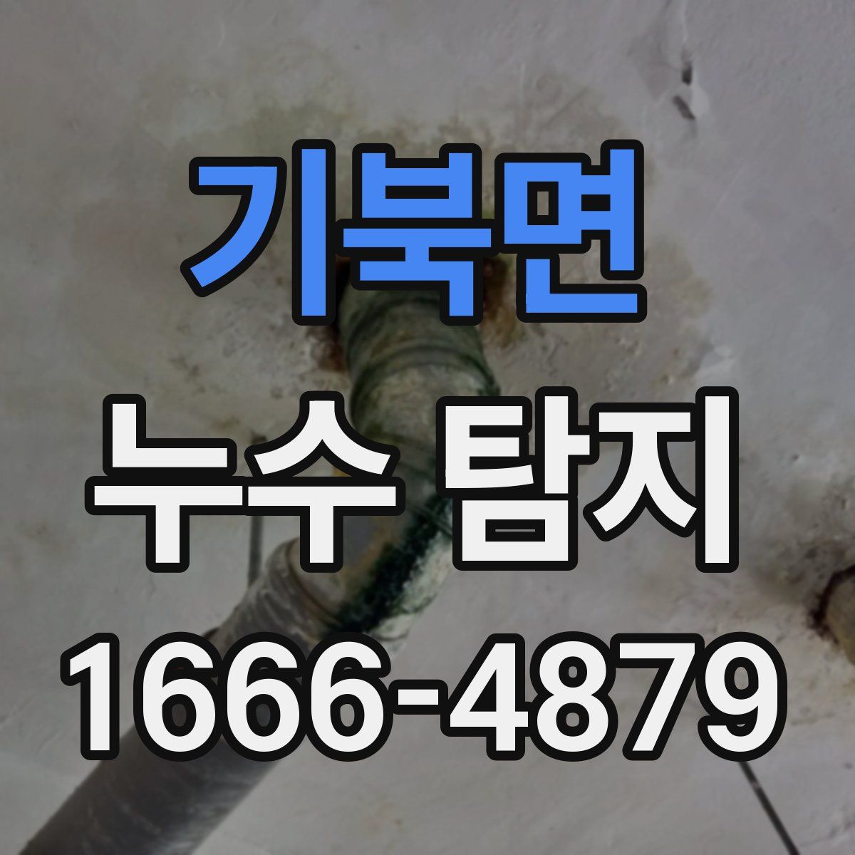 기북면 누수 탐지