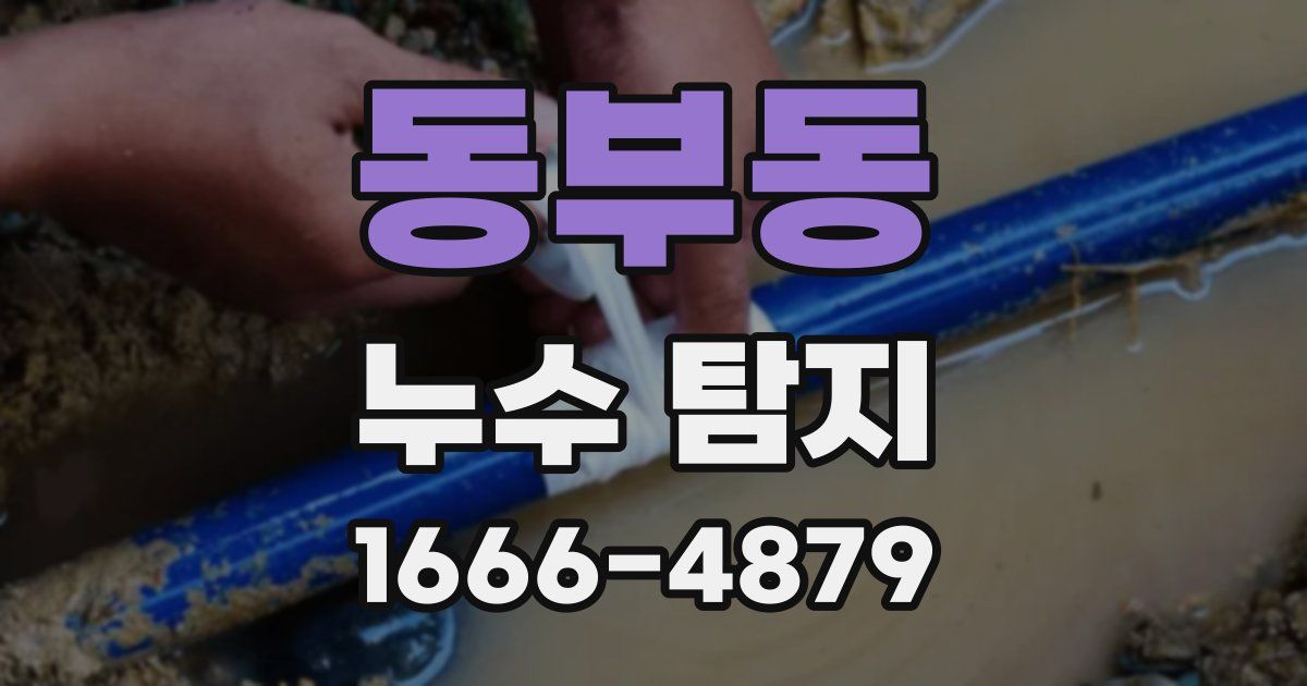 동부동 누수 탐지