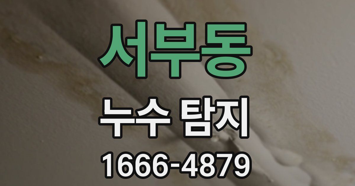 서부동 누수 탐지