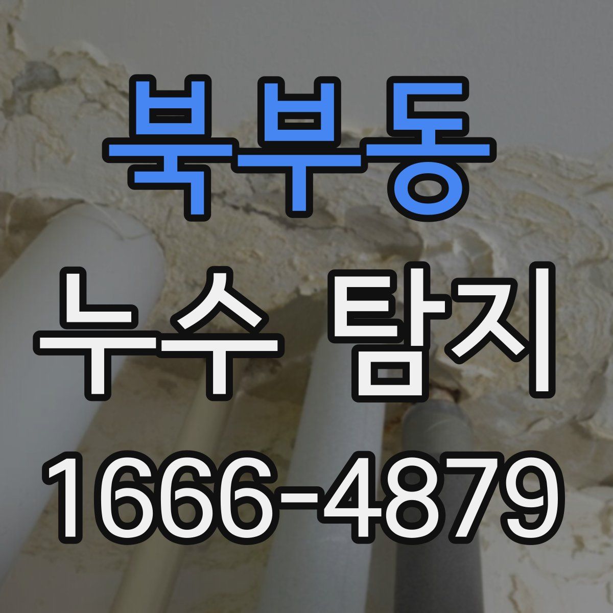 북부동 누수 탐지