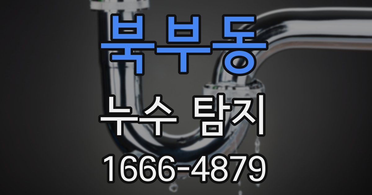 북부동 누수 탐지