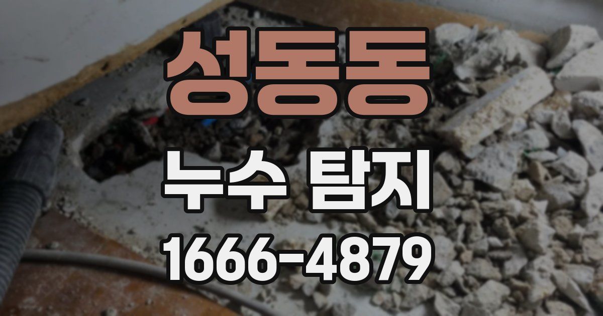 성동동 누수 탐지