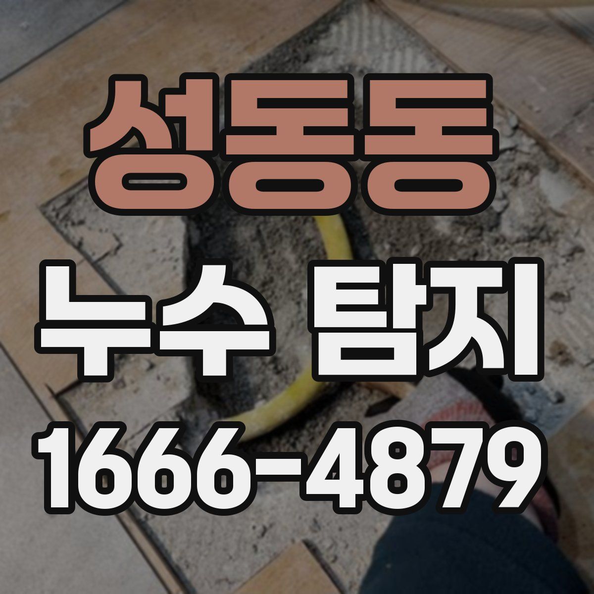 성동동 누수 탐지