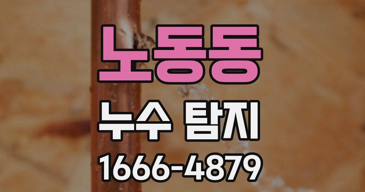 노동동 누수 탐지