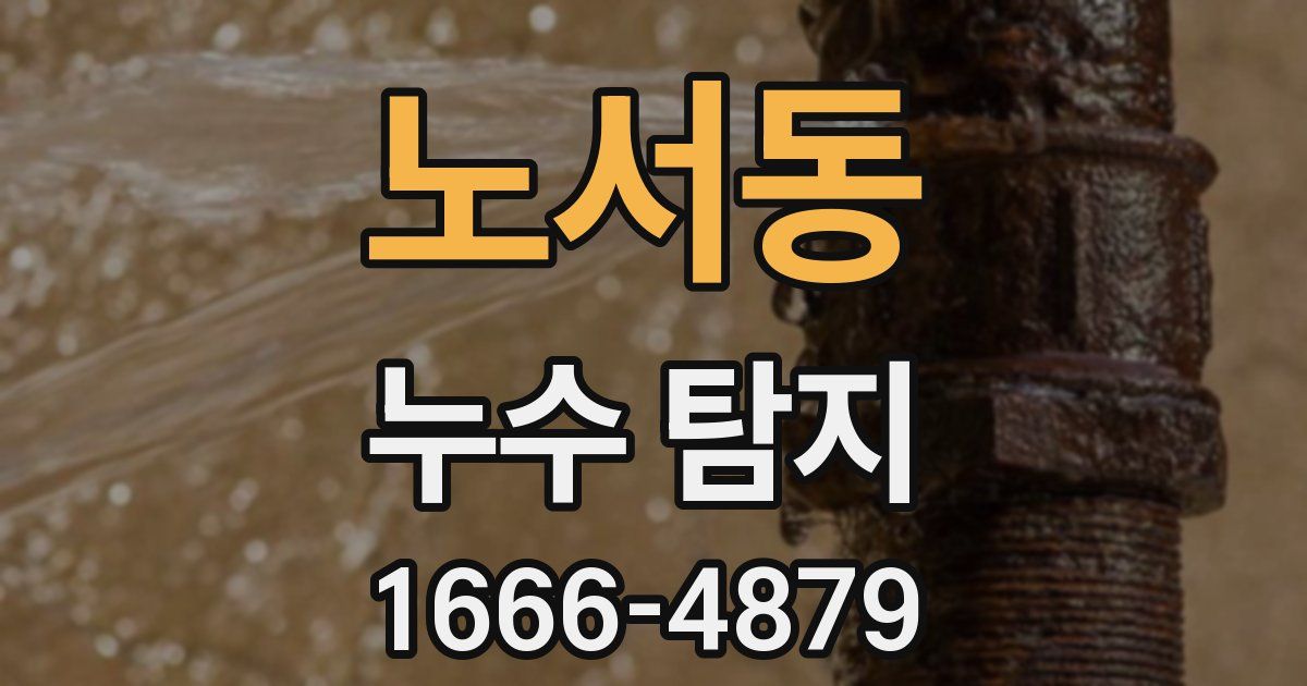 노서동 누수 탐지