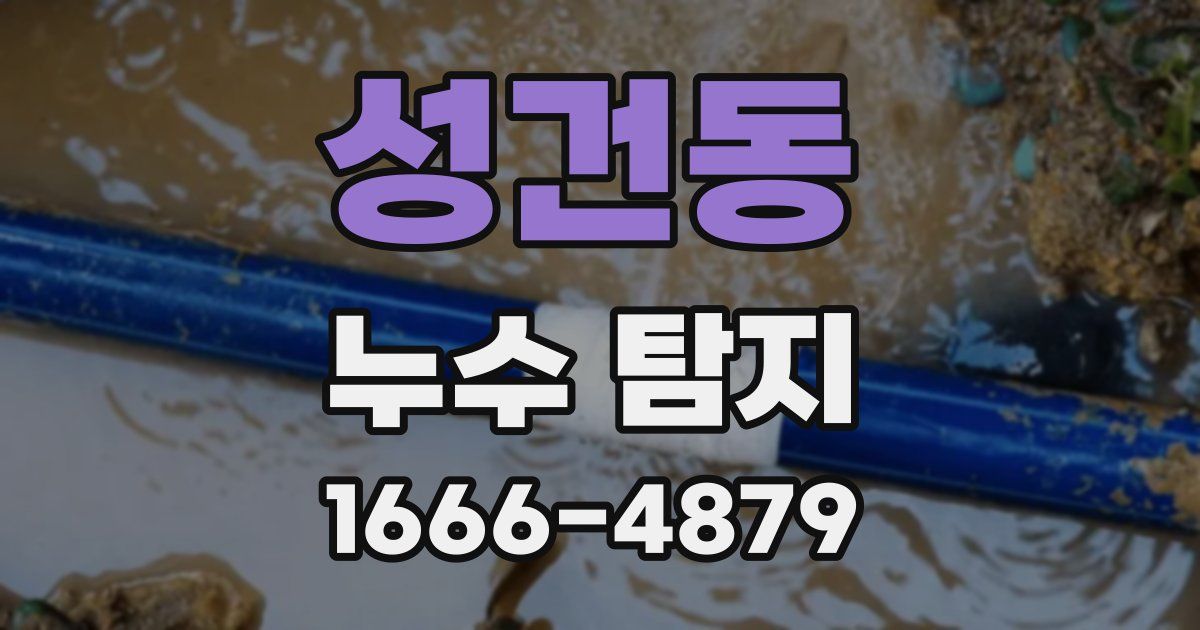 성건동 누수 탐지