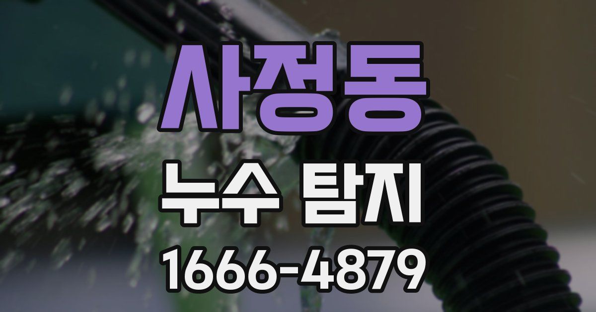 사정동 누수 탐지