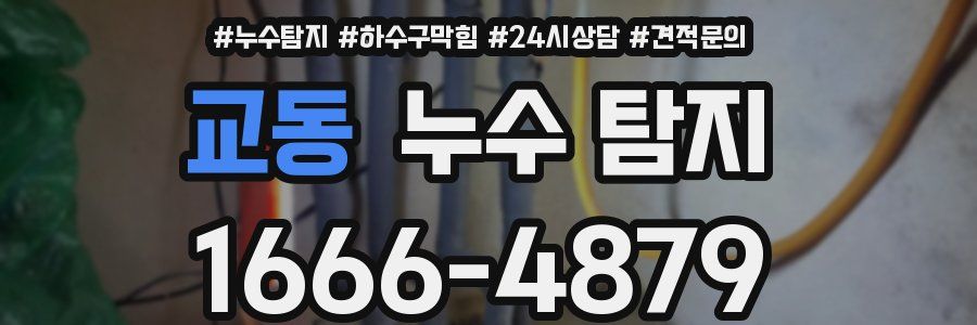 교동 누수 탐지
