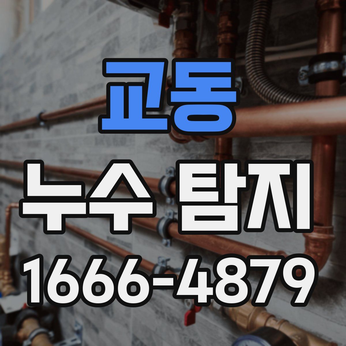 교동 누수 탐지