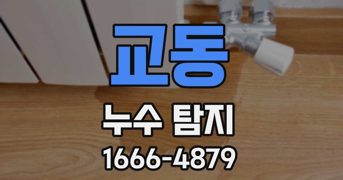 교동 누수 탐지