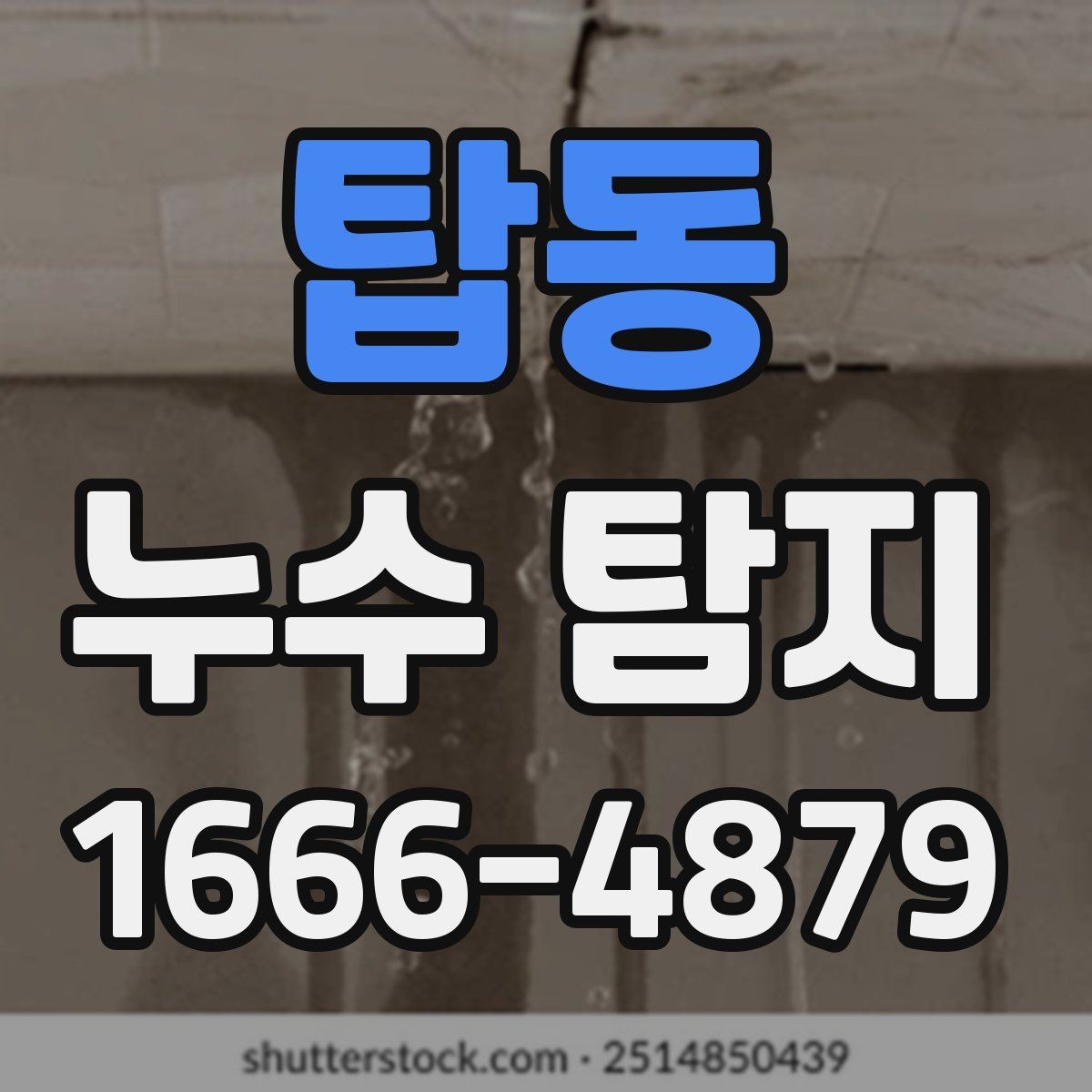 탑동 누수 탐지 결과를 바탕으로 한 유지 관리 팁