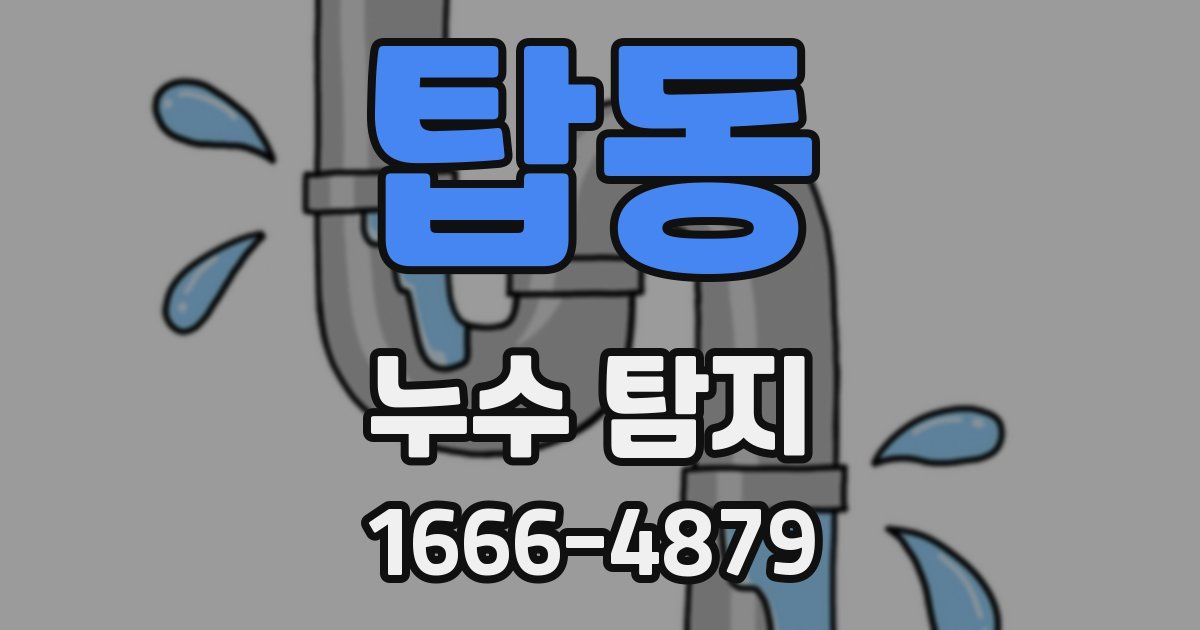 탑동 누수 탐지