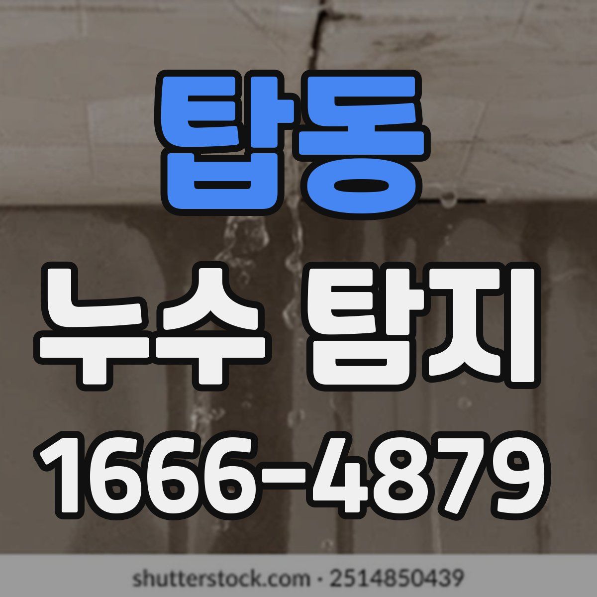 탑동 누수 탐지