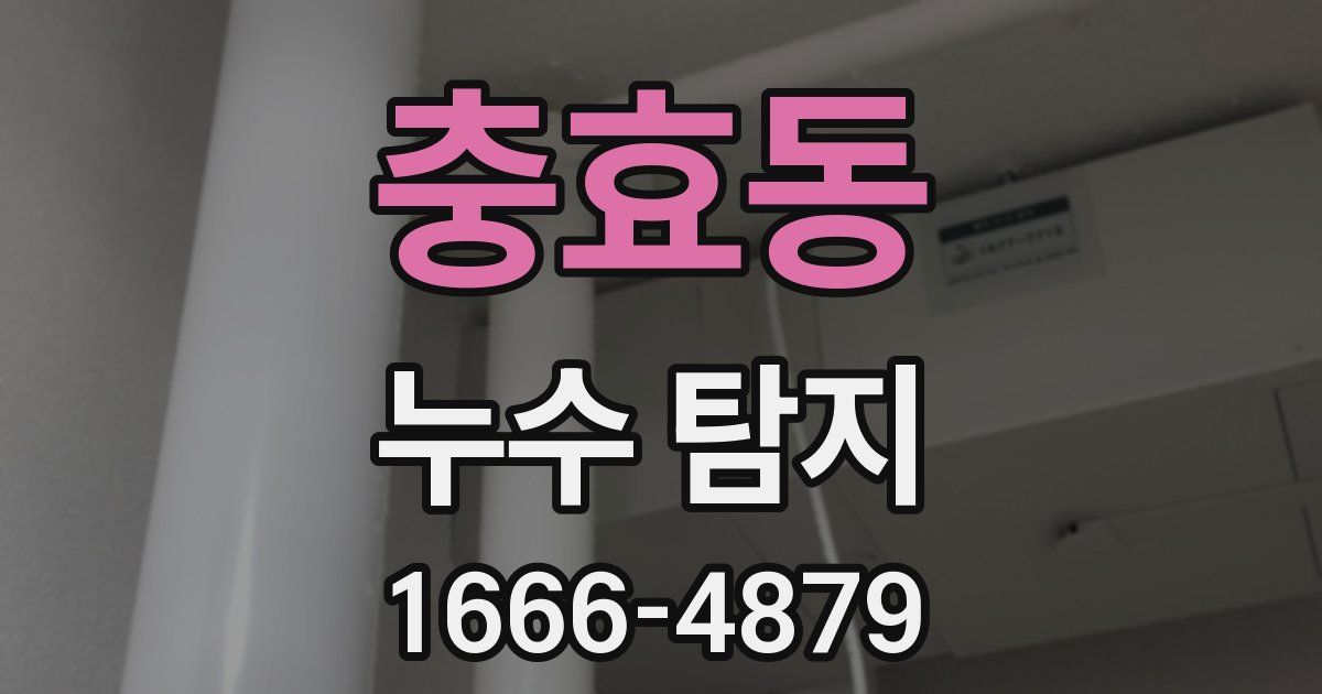 충효동 누수 탐지