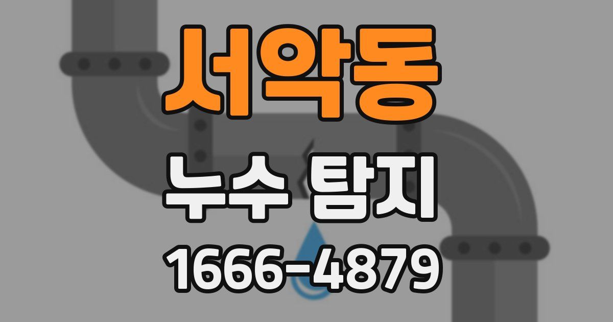서악동 누수 탐지
