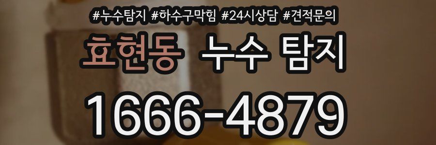 효현동 누수 탐지