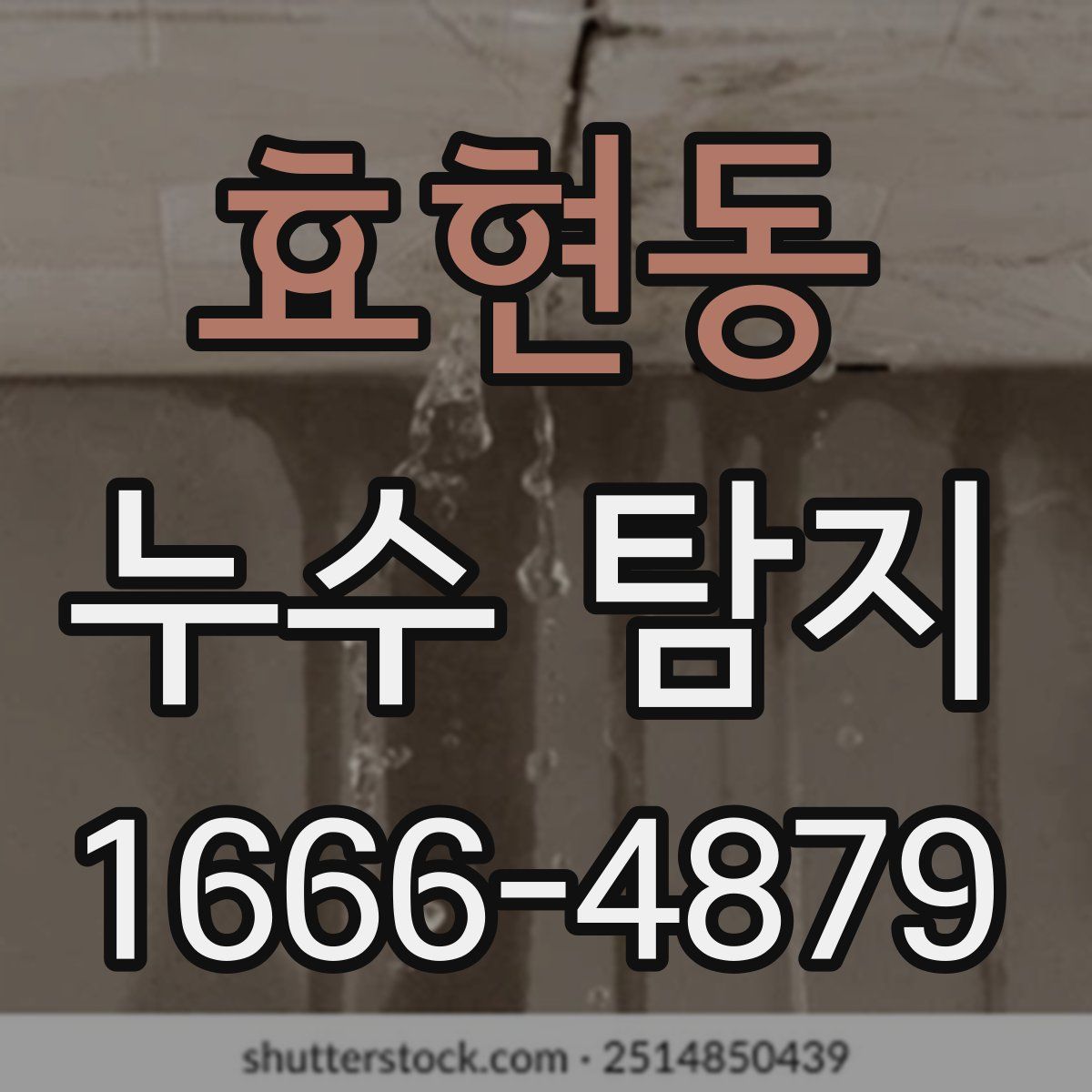 효현동 누수 탐지