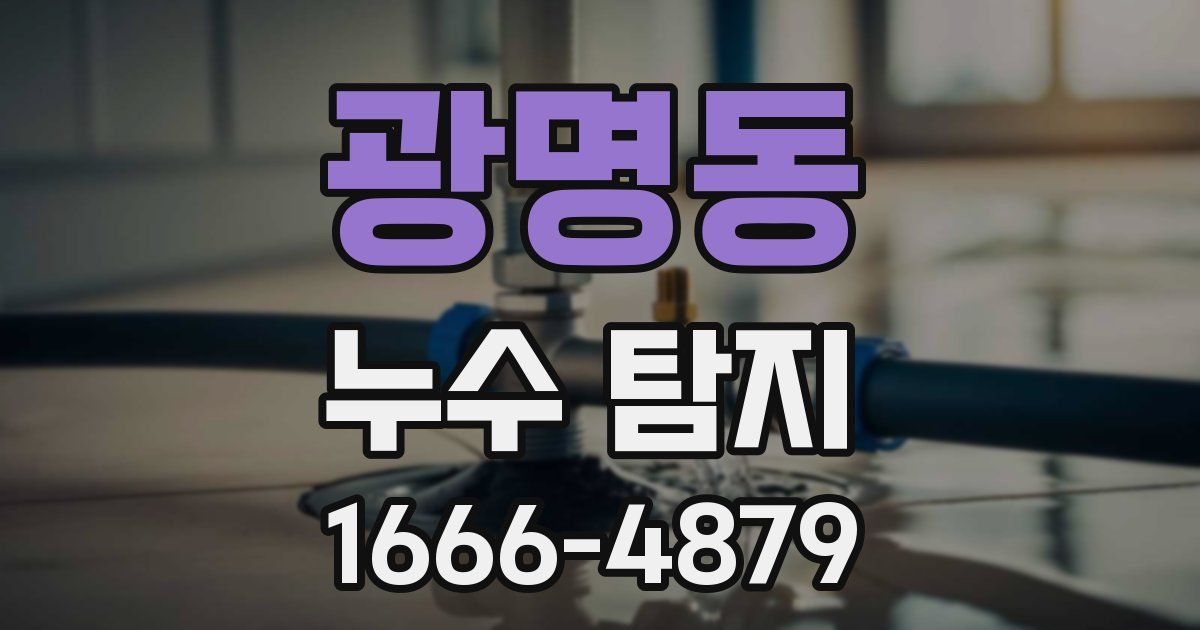 광명동 누수 탐지