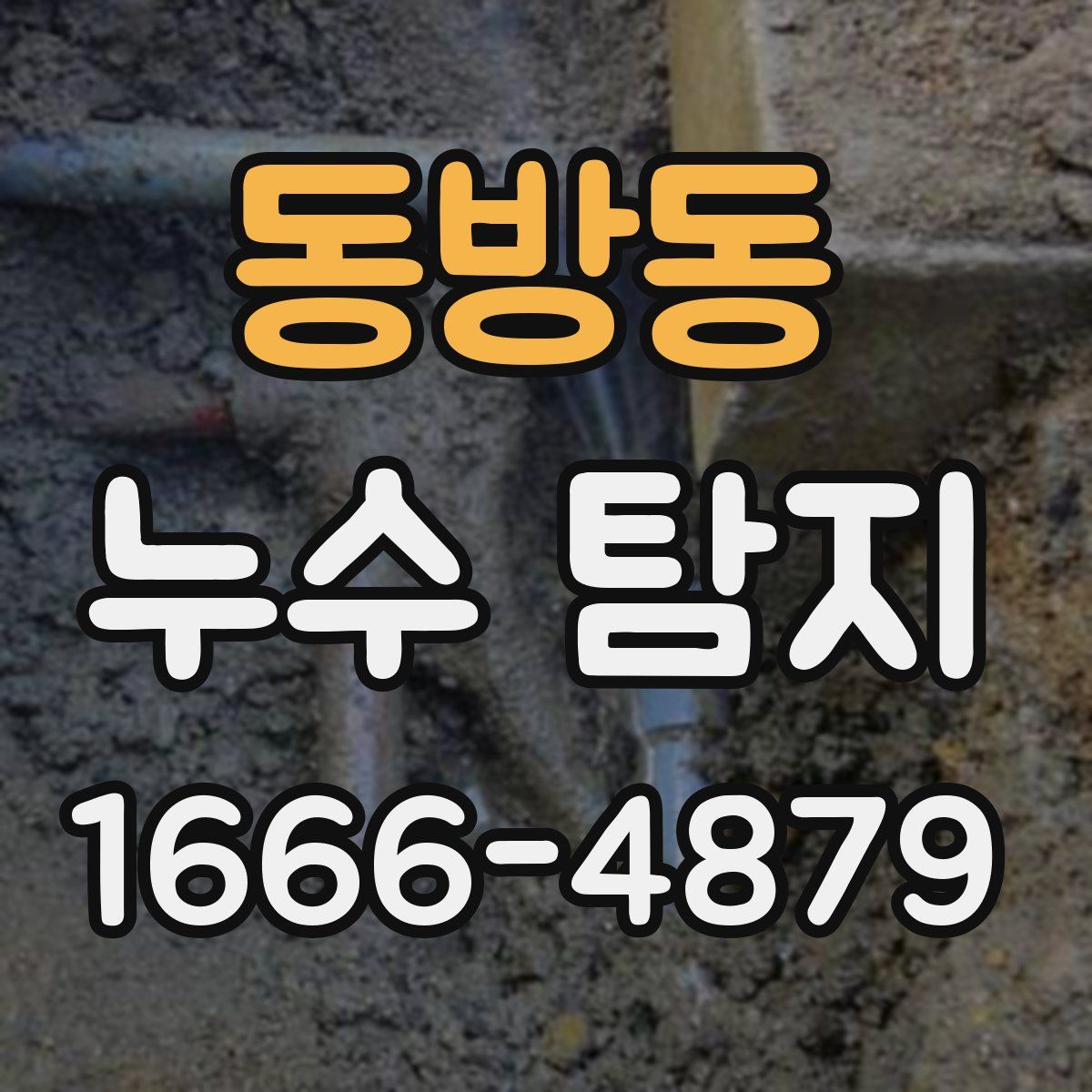 동방동 누수 탐지