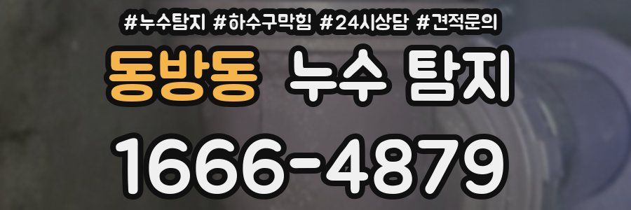 동방동 누수 탐지