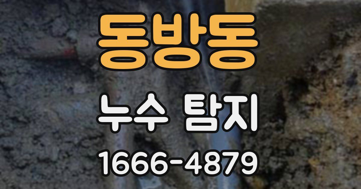 동방동 누수 탐지