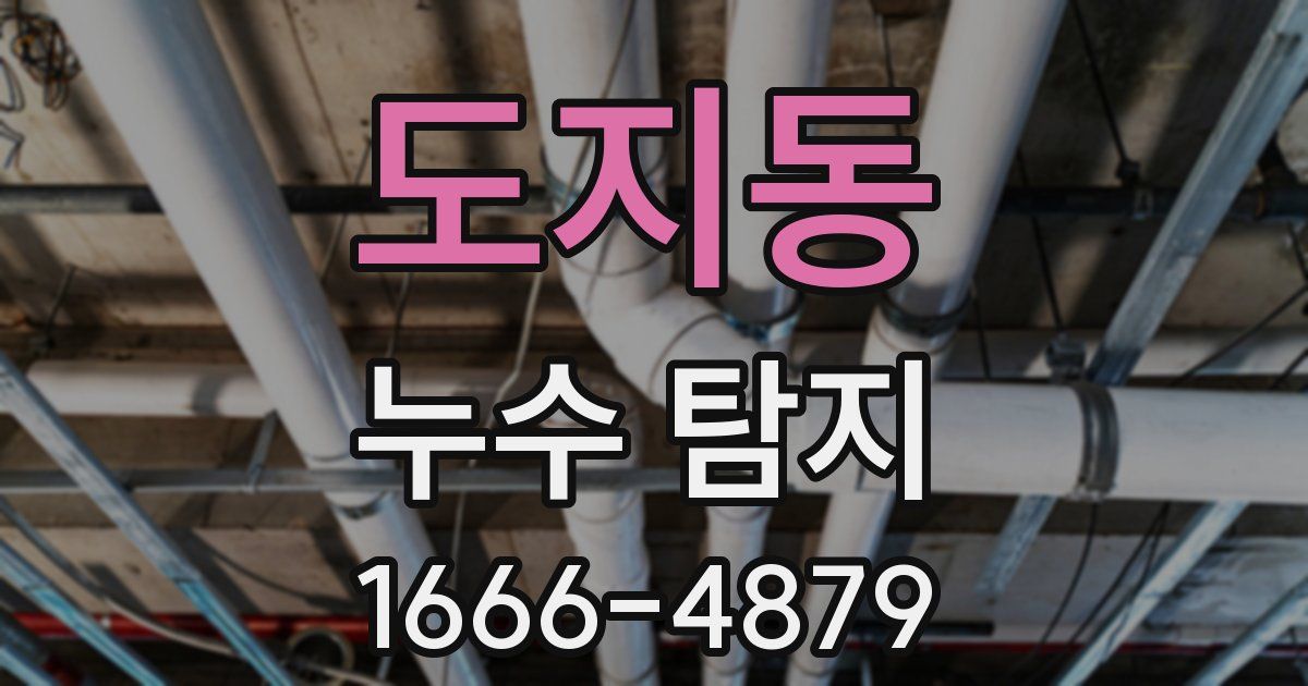 도지동 누수 탐지