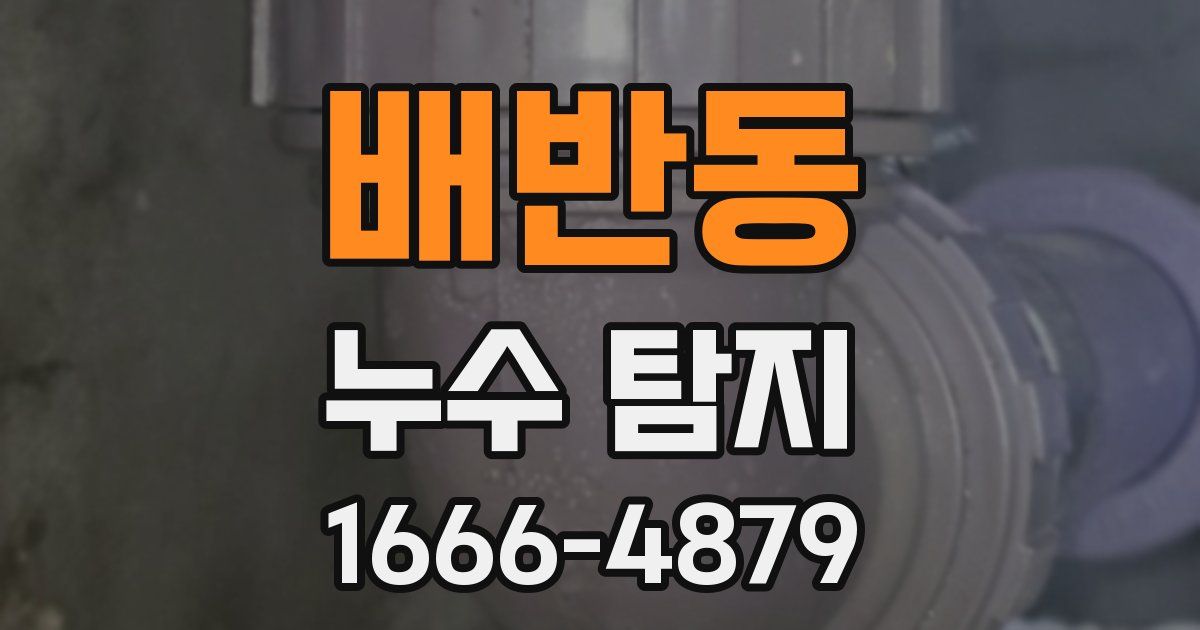 배반동 누수 탐지
