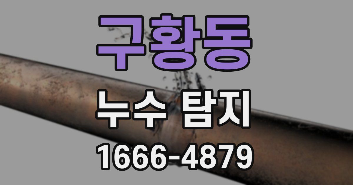 구황동 누수 탐지