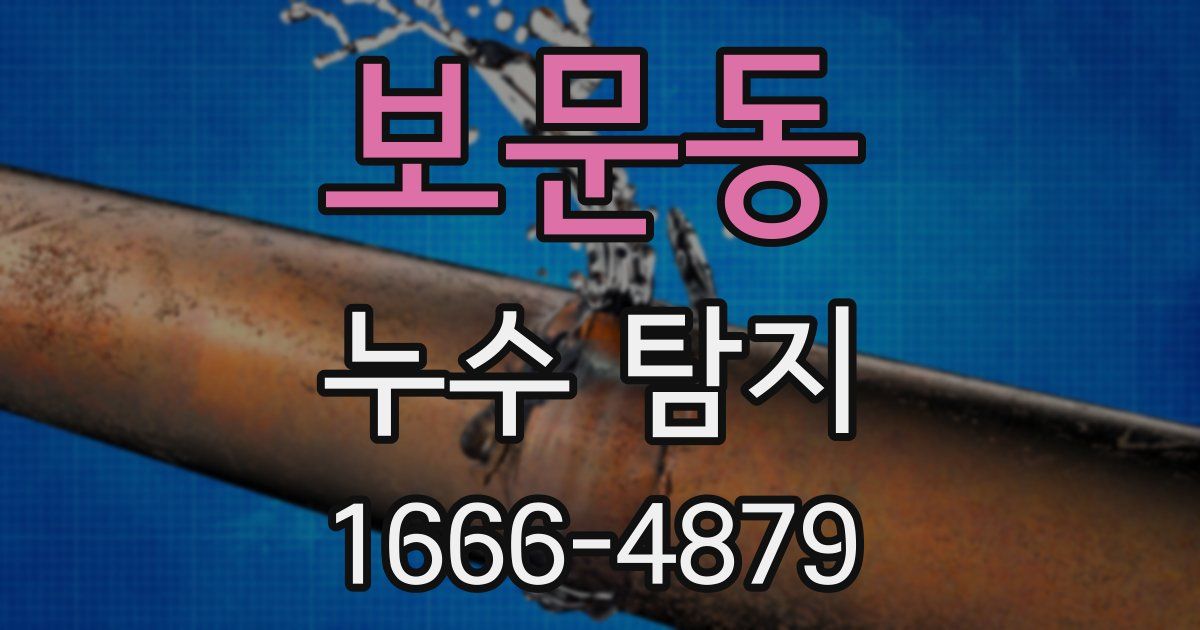 보문동 누수 탐지