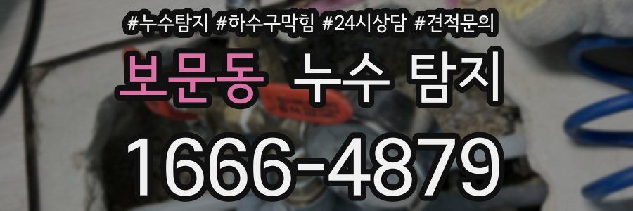 보문동 누수 탐지