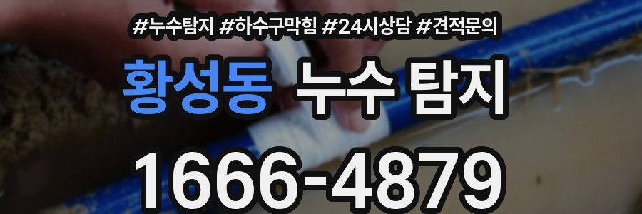 황성동 누수 탐지