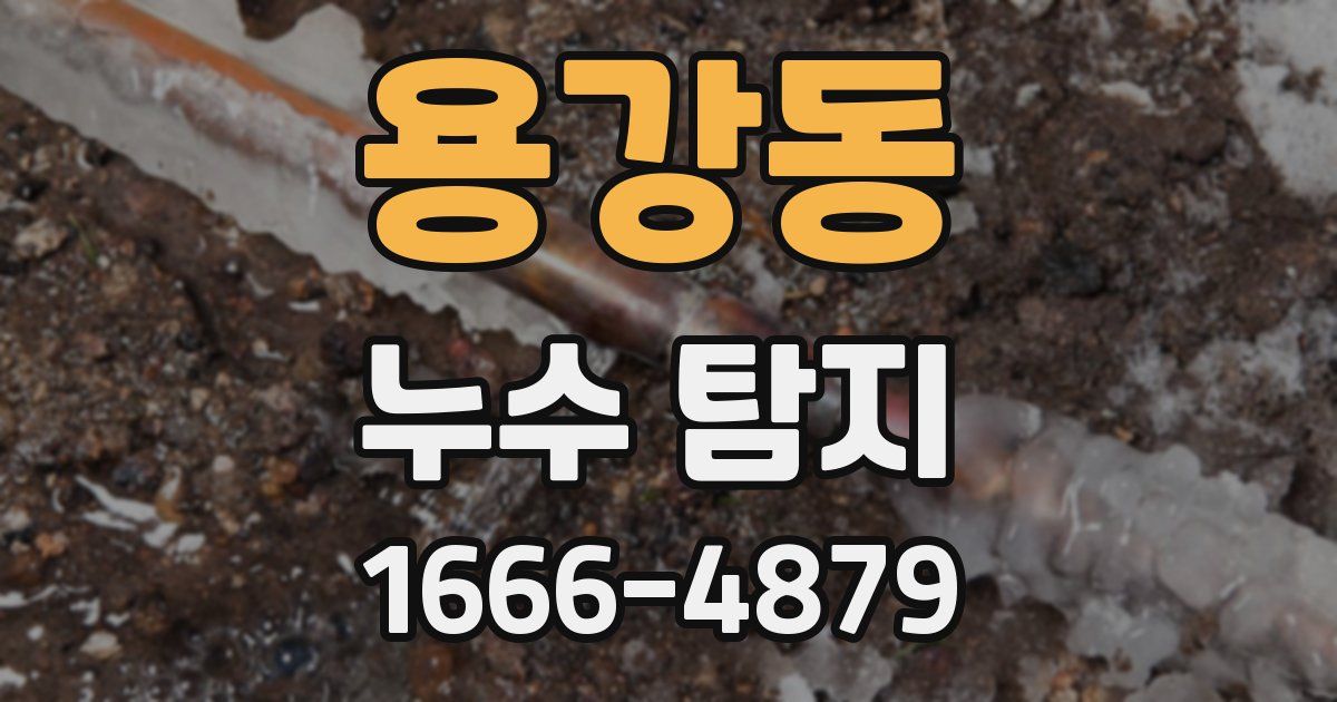 용강동 누수 탐지