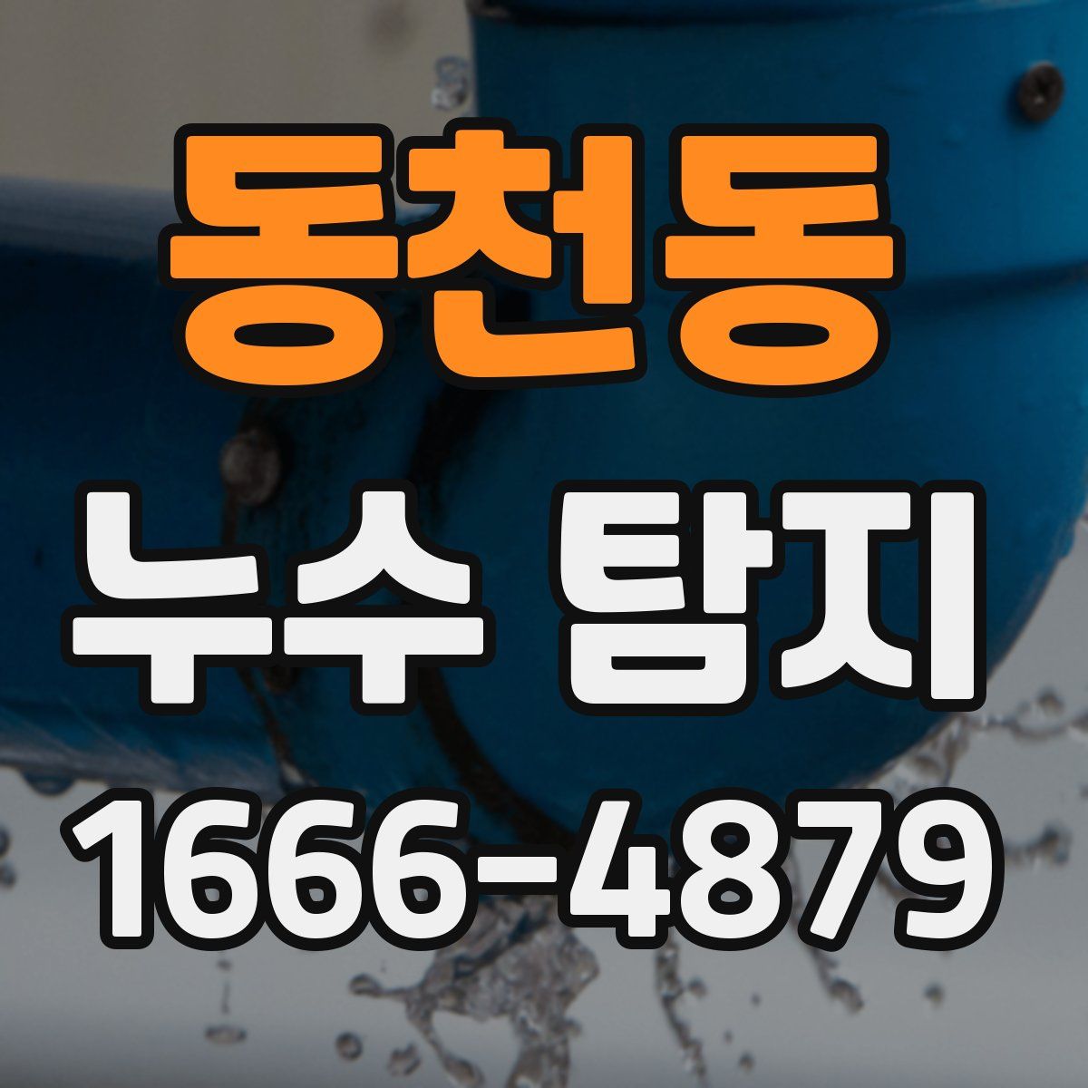 동천동 누수 탐지
