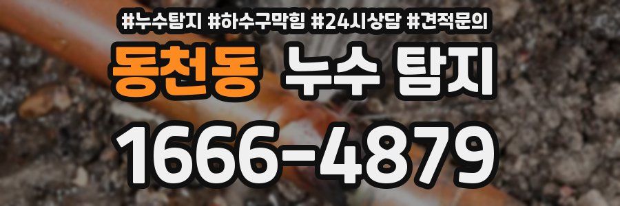 동천동 누수 탐지