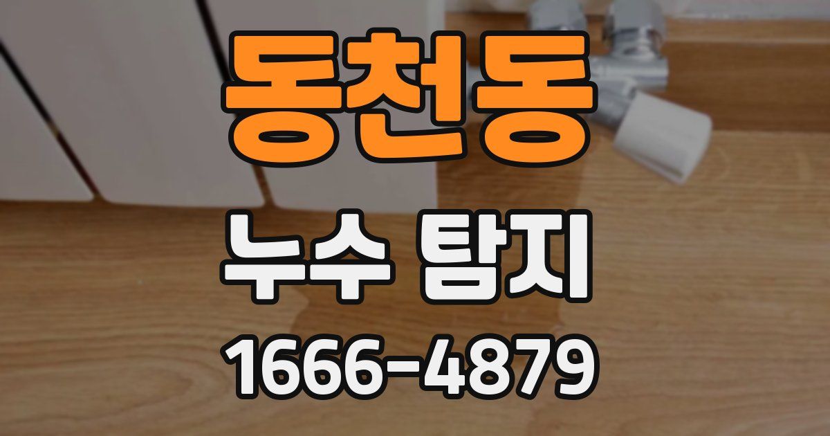 동천동 누수 탐지