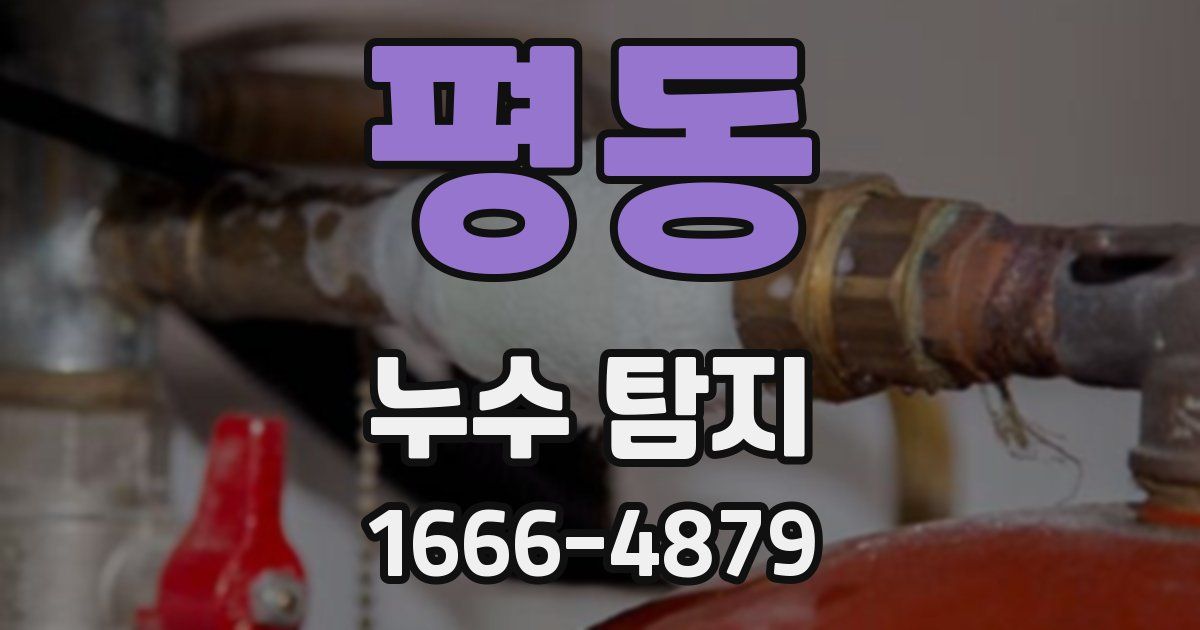 평동 누수 탐지