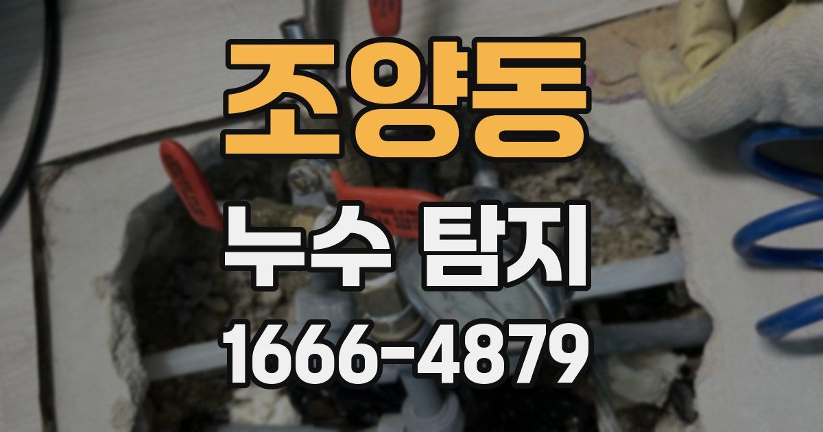 조양동 누수 탐지