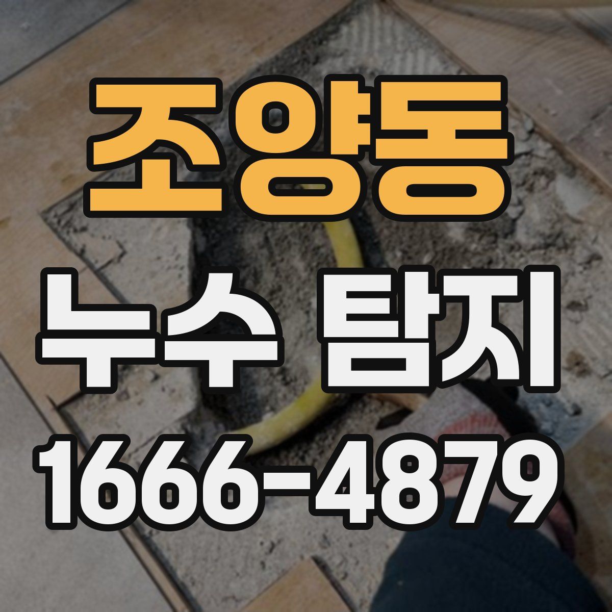조양동 누수 탐지