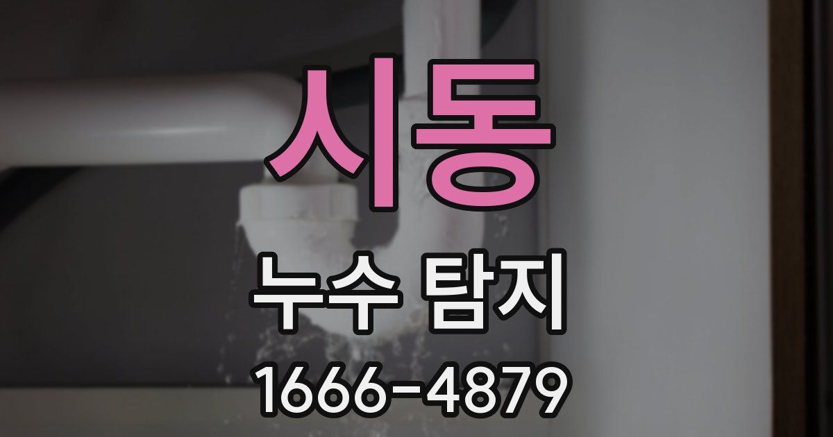 시동 누수 탐지