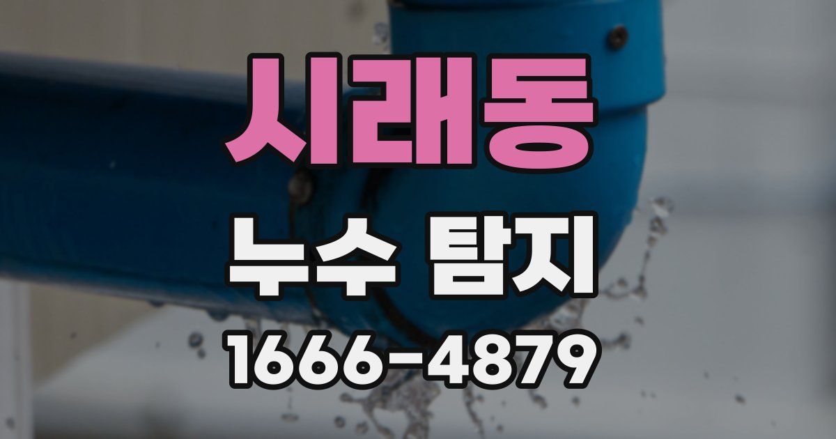 시래동 누수 탐지