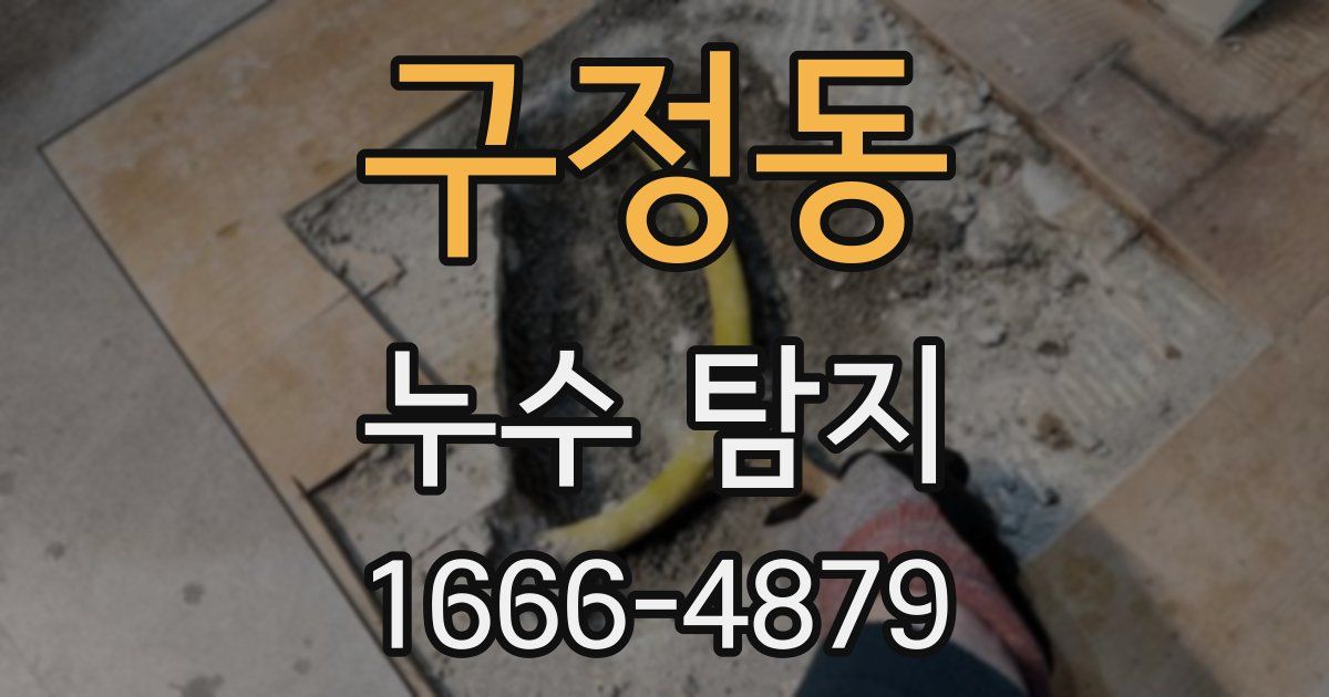 구정동 누수 탐지