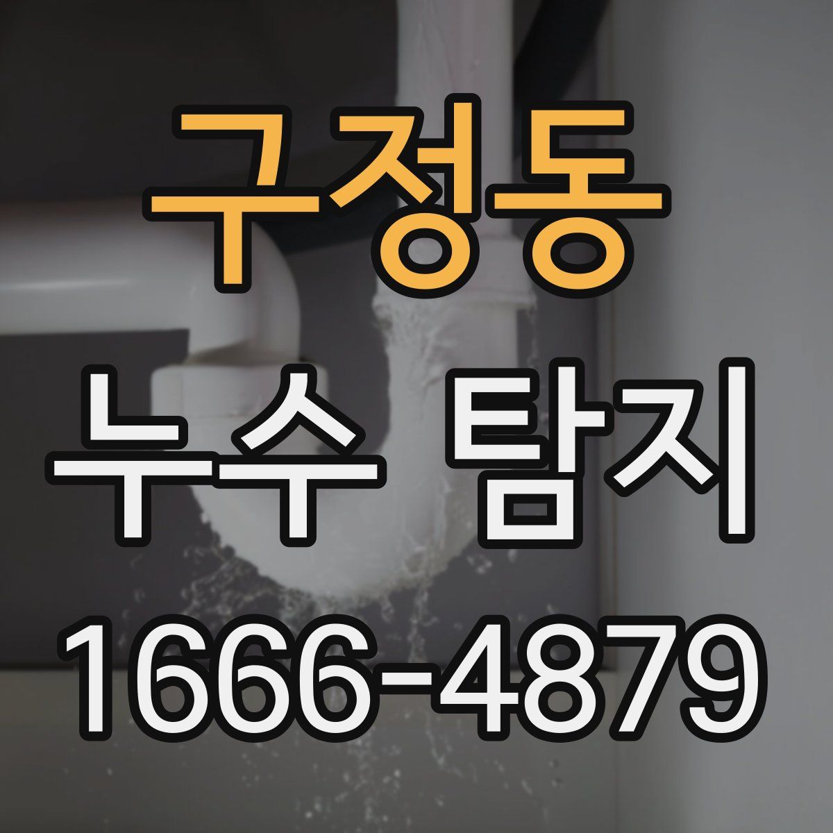 구정동 누수 탐지