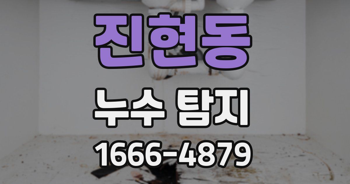 진현동 누수 탐지