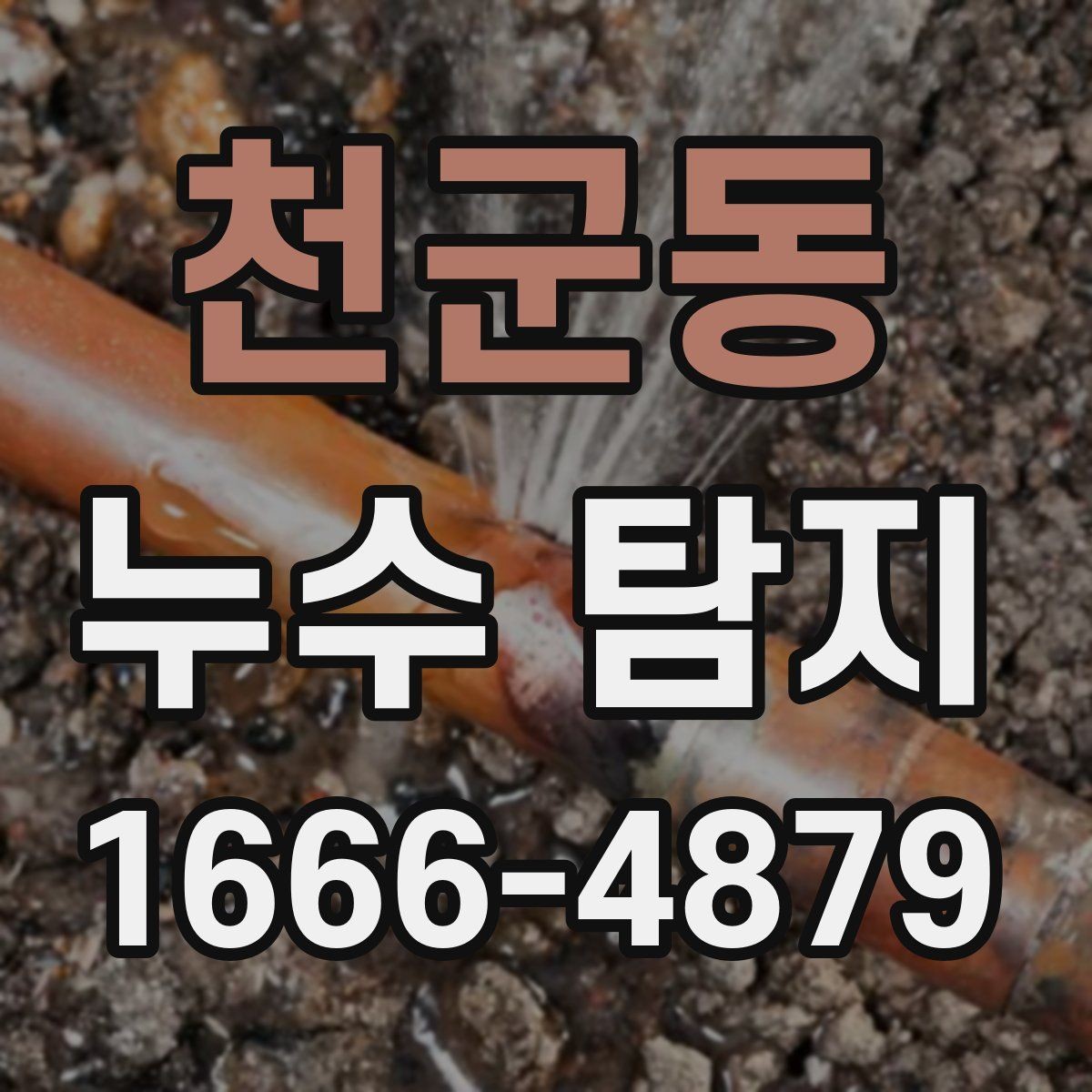 천군동 누수 탐지 사례로 보는 원인별 특징